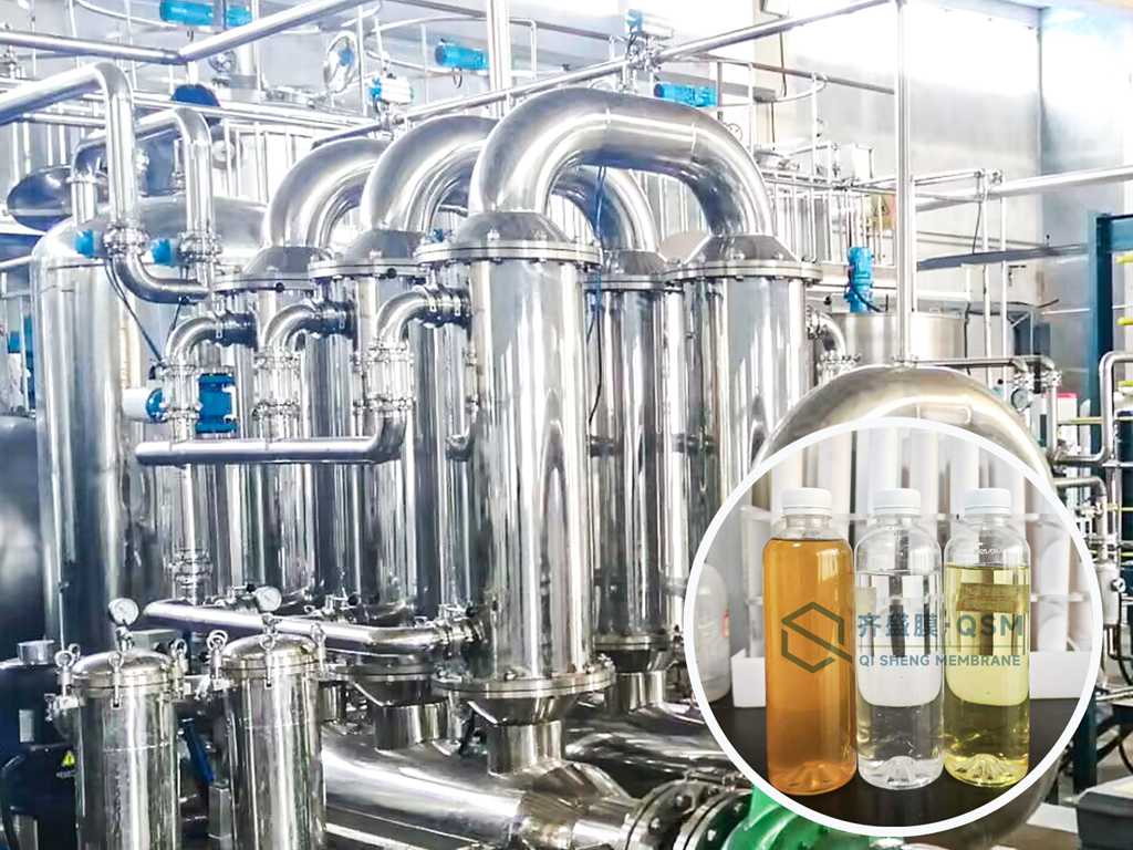 Fermented Functional Sugar Filtration and Concentration Project for a Group in Hubei